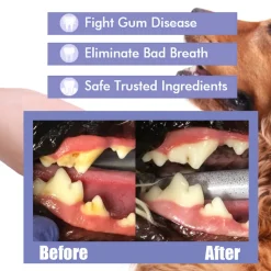 DTOPBUYAGE - Spray de nettoyage dentaire pour chats et chiens, 30 ml - dtopbuyage