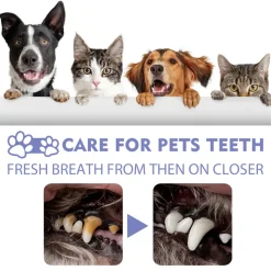 DTOPBUYAGE - Spray de nettoyage dentaire pour chats et chiens, 30 ml - dtopbuyage