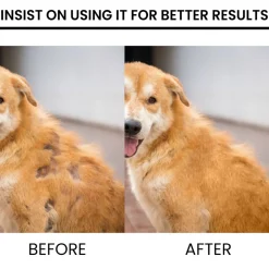 DTOPBUYAGE - Spray pour stimuler la croissance des poils des animaux de compagnie, 30 ml