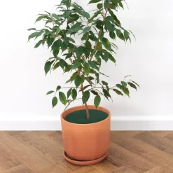 DTOPBUYAGE - Tissu de jardinage non - tissé diamètre 27cm lot de 10 dtopbuyage