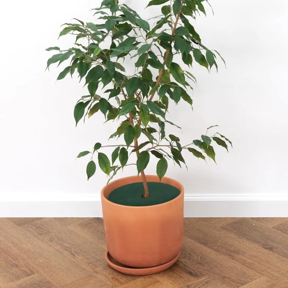 DTOPBUYAGE - Tissu de jardinage non - tissé diamètre 27cm lot de 10 dtopbuyage