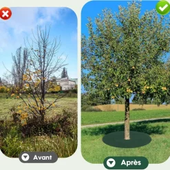 DTOPBUYAGE - Tissu de jardinage non - tissé diamètre 42cm lot de 10 dtopbuyage