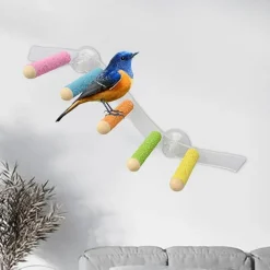 DTOPBUYAGE - Ventouse perche en bois pour perroquet cage jouet