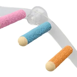 DTOPBUYAGE - Ventouse perche en bois pour perroquet cage jouet