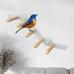 DTOPBUYAGE - Ventouse perche en bois pour perroquet cage jouet