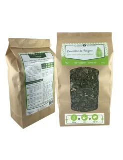 ECO CONSEILS - Concentré de fougère