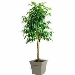 EDA - Pot de fleur carré - 39 x 39 x 39 cm - 38 l - taupe