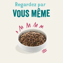 EDGARD&COOPER - Croquettes chien adulte sans céréales au chevreuil et canard - 12 kg