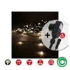 EDM - Rideau avec programmeur easy-connect 2x1m 10 bandes 100 leds blanc chaleureux edm