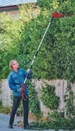 EINHELL - Taille-haie télescopique électrique gc-hh 5056 - 500 w