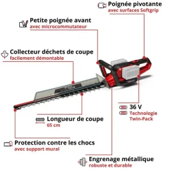 EINHELL - Taille-haies sans fil ge-ch 36/65 li-solo
