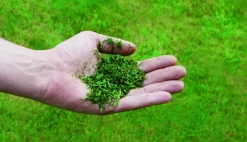 EINHELL - Tondeuse thermique gc-pm 56/2 s hw - 56 cm - 5 en 1 - 173 cc