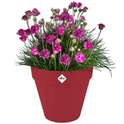 ELHO - Pot Loft rond à roulettes, coloris rouge théâtre - D.48,5xH.44,5cm