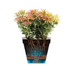 ELHO - Pot Loft rond haut, coloris rouge théâtre - D.42xH.56cm