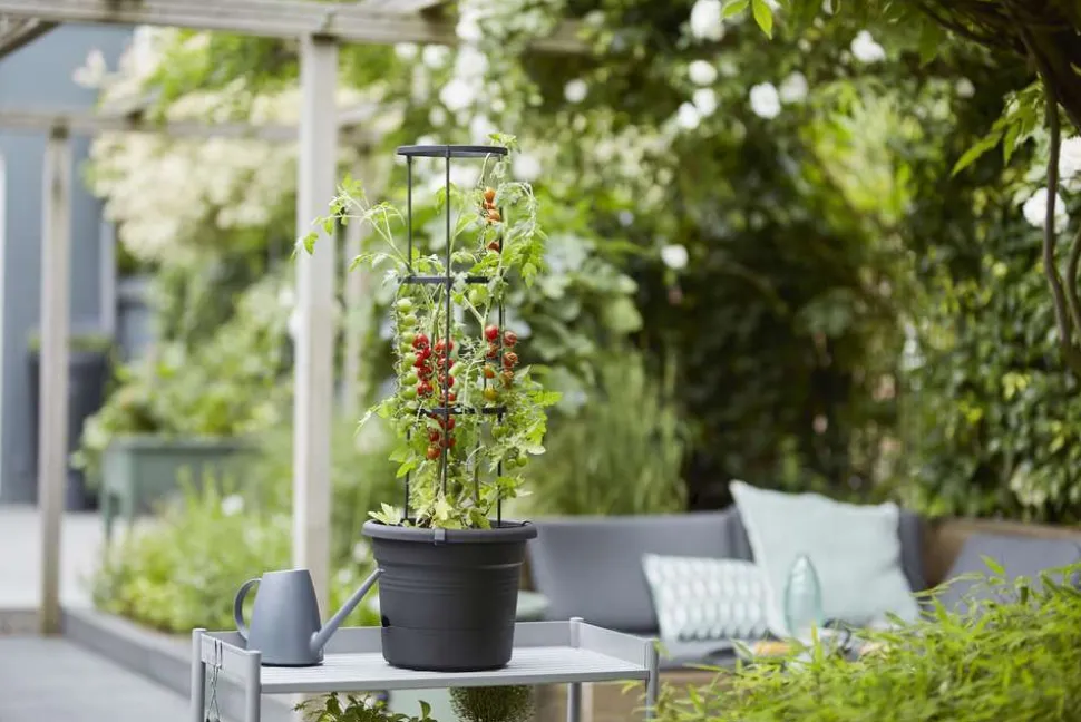 ELHO - Pot pour tomates Green Basics en plastique injecté noir - D.33 cm