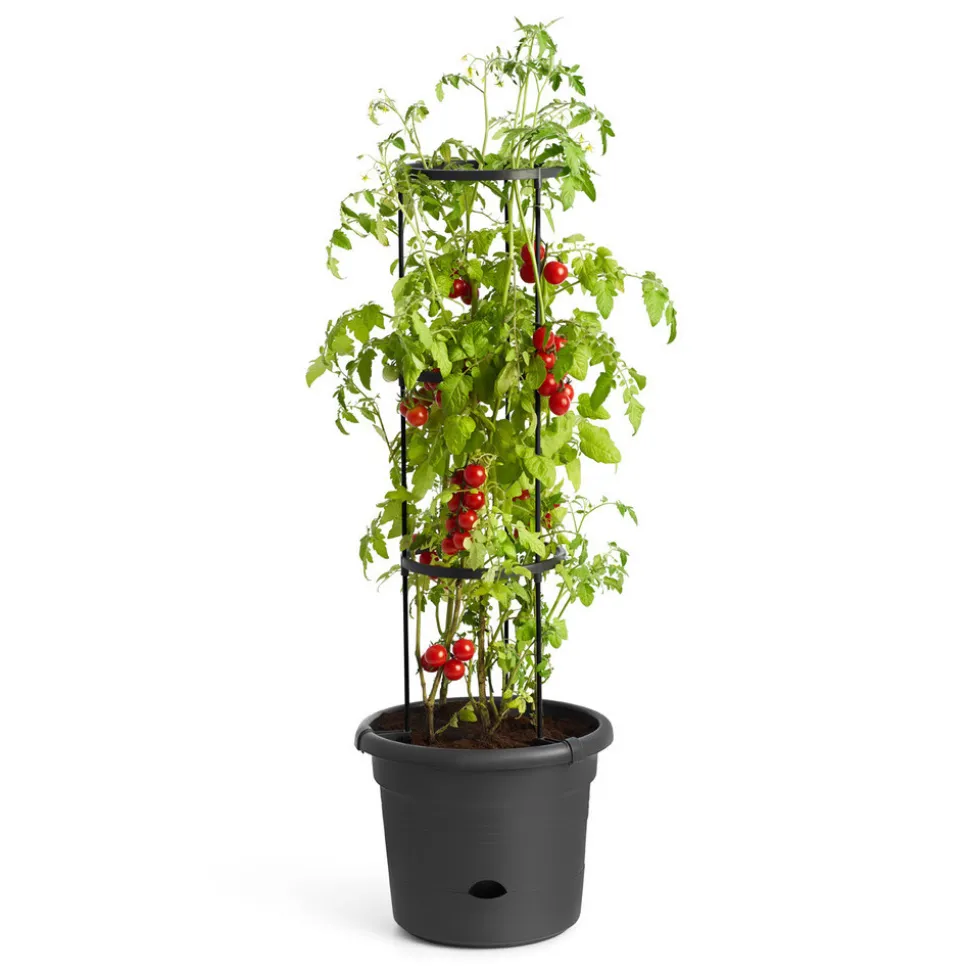 ELHO - Pot pour tomates Green Basics en plastique injecté noir - D.33 cm