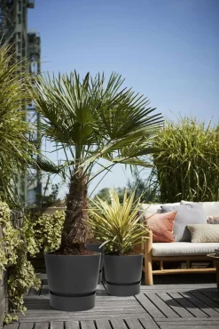 ELHO - Pot rond Greenville en polypropylène noir - D.25 cm