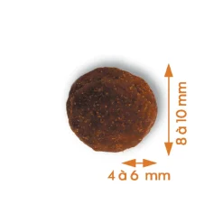 EMPREINTES - Croquettes Chien stérilisé Petite taille au saumon sans céréales 3kg