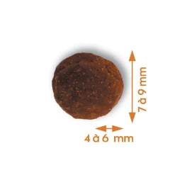 EMPREINTES - Croquettes pour chiot de petite taille au poulet sans céréales 3kg