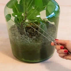 ESSCHERT DESIGN - Pince pour terrarium en acier extra longue