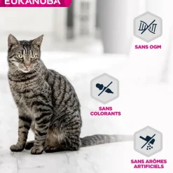 EUKANUBA - Eukanuba - chat adulte - sans céréales - pâtée agneau 85 g