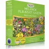 EUROPA GREEN - Mélange de fleurs - fleurs sauvages (17m2) - gazon japonais