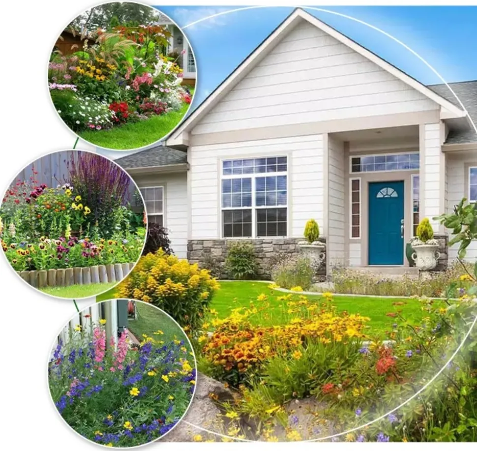 EUROPA GREEN - Mélange de fleurs - fleurs sauvages (17m2) - gazon japonais