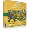 EUROPA GREEN - Mélange de fleurs pour abeilles (17m2) - gazon japonais