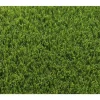 EXELGREEN - Gazon artificiel - synthetique - decoration - - 123103 - park 40 mm - 1 x 5m