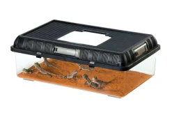 EXO TERRA - Boite d'élevage - breeding box - large - boîte de transport ou d'élevage pour reptiles (lézards, serpents, tortues), amphibiens
