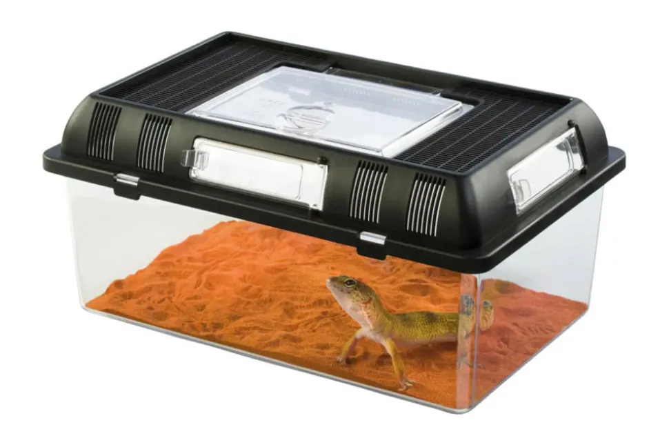 EXO TERRA - Boite d'élevage - breeding box - medium - boîte de transport ou d'élevage pour reptiles (lézards, serpents, tortues), amphibien