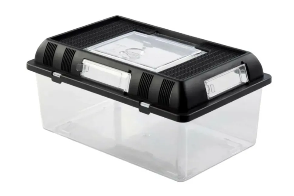 EXO TERRA - Boite d'élevage - breeding box - medium - boîte de transport ou d'élevage pour reptiles (lézards, serpents, tortues), amphibien