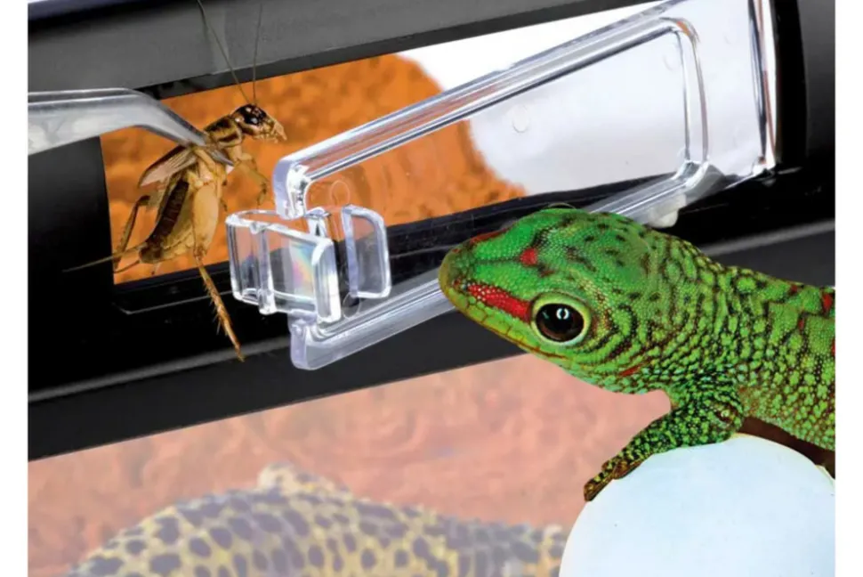 EXO TERRA - Boite d'élevage - breeding box - medium - boîte de transport ou d'élevage pour reptiles (lézards, serpents, tortues), amphibien