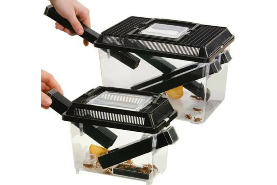 EXO TERRA - Boite pour grillons vivants - cricket pen small - terrarium plastique pour l'élevage des insectes