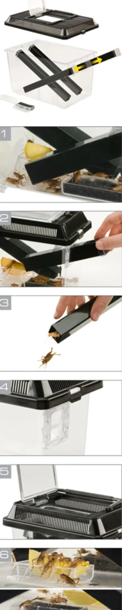 EXO TERRA - Boite pour grillons vivants - cricket pen small - terrarium plastique pour l'élevage des insectes
