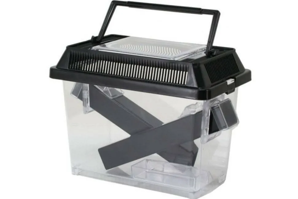 EXO TERRA - Boite pour grillons vivants - cricket pen large - terrarium plastique pour l'élevage des insectes