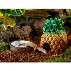 EXO TERRA - Bol à eau en forme de noix de coco reptiles