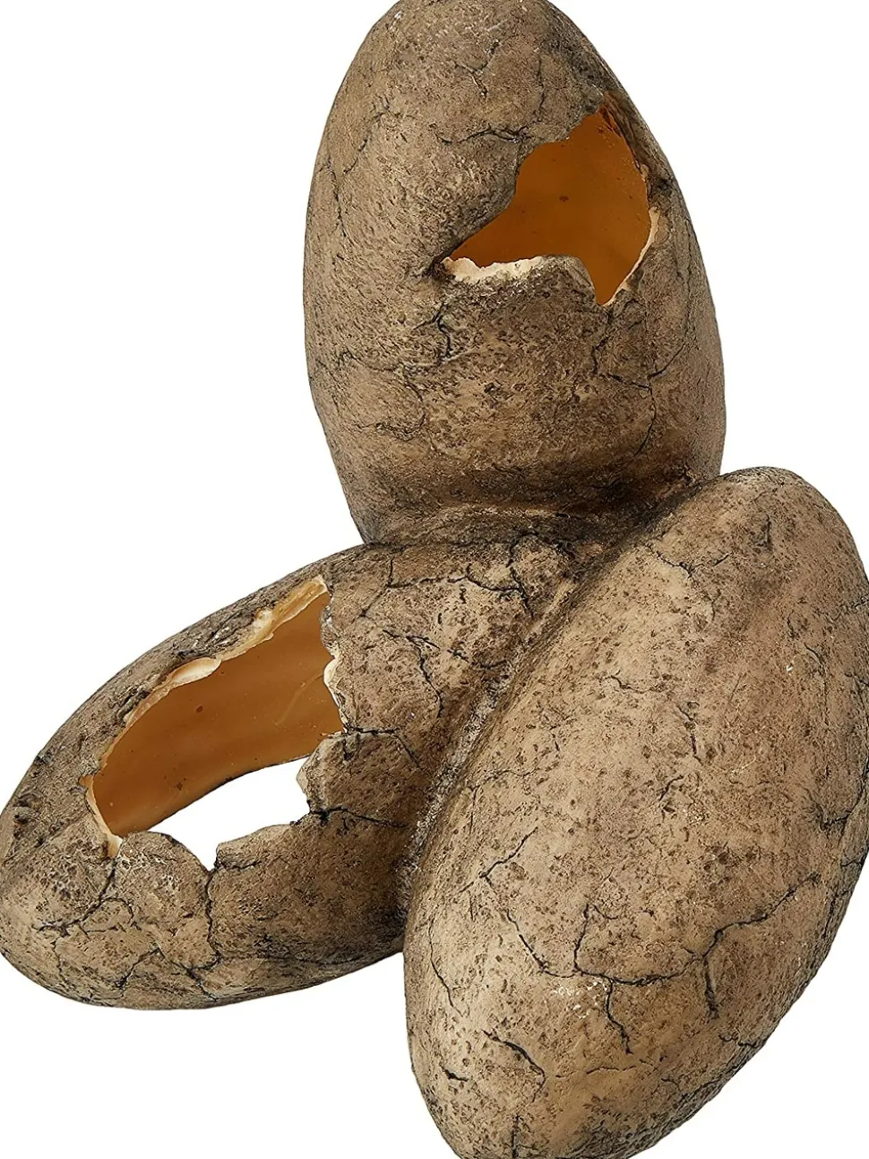 EXO TERRA - Exoterra cachette oeuf pour reptile moyen