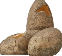 EXO TERRA - Exoterra cachette oeuf pour reptile moyen