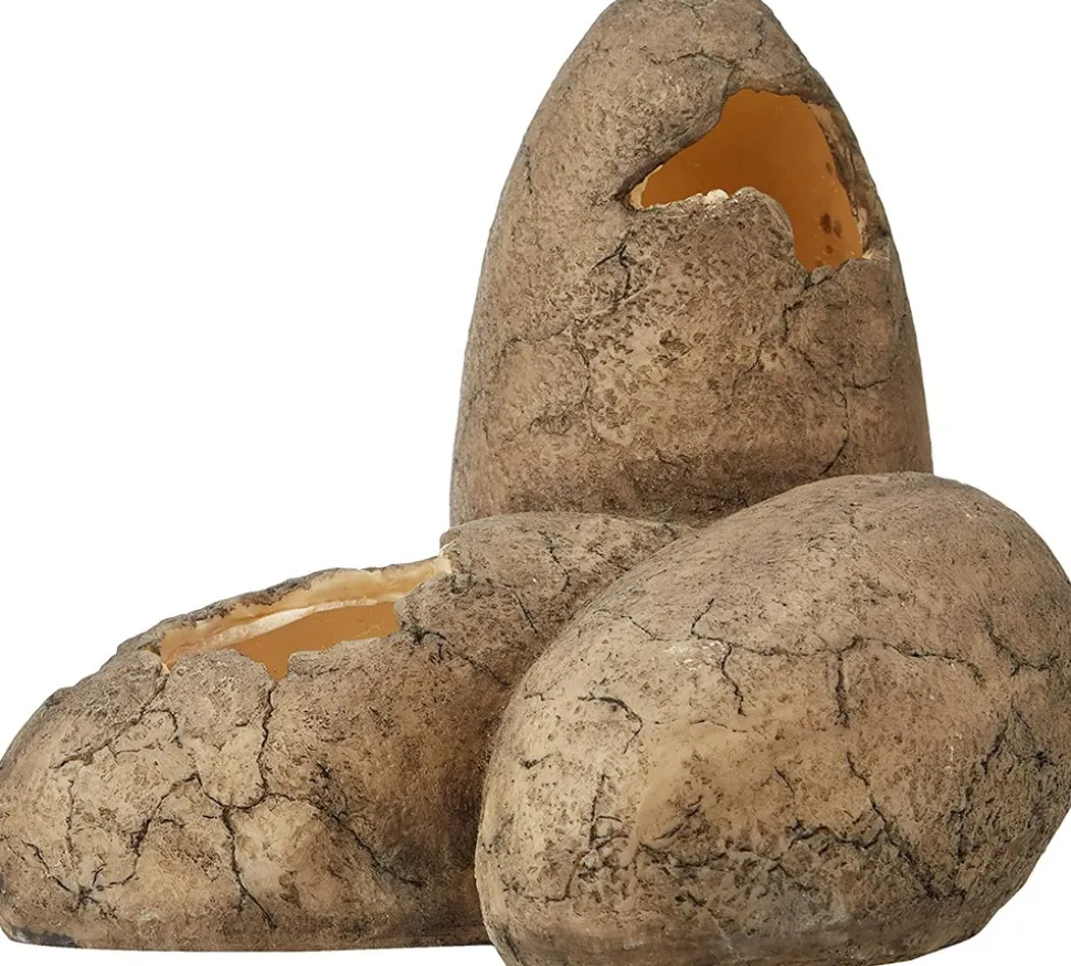 EXO TERRA - Exoterra cachette oeuf pour reptile moyen