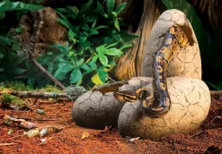 EXO TERRA - Exoterra cachette oeuf pour reptile moyen