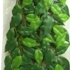 EXO TERRA - Feuillage ficus reptiles moyen