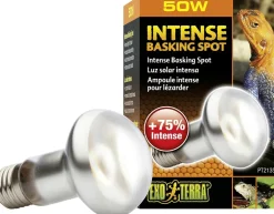 EXO TERRA - Lampe intense basking spot reptiles