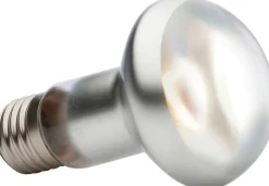 EXO TERRA - Lampe intense basking spot reptiles