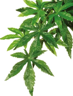 EXO TERRA - Plantes rainforest à suspendre feuillage abutilon petit