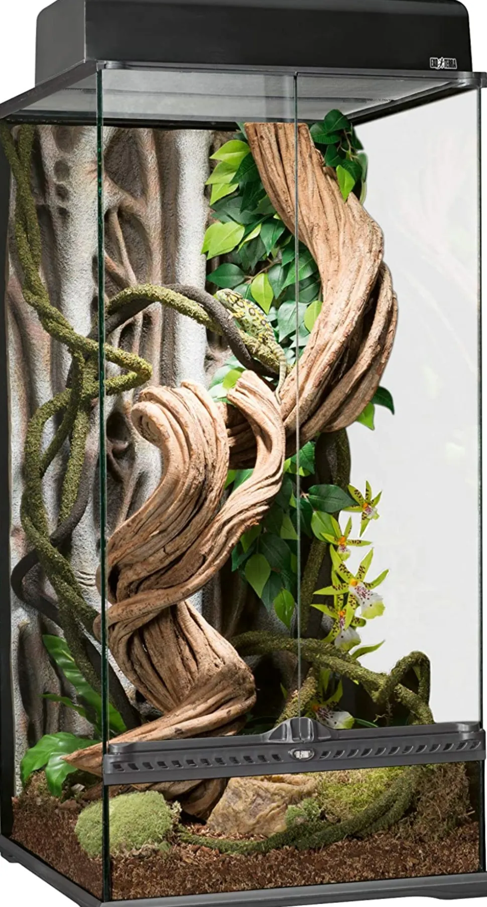 EXO TERRA - Terrarium mini/large, 27l, 30x30x30cm