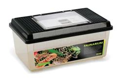 EXO TERRA - Terrarium polyvalent en plastique - faunarium plat medium pour reptiles (lézards, serpents), amphibiens et invertébrés