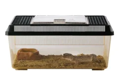 EXO TERRA - Terrarium polyvalent en plastique - faunarium plat medium pour reptiles (lézards, serpents), amphibiens et invertébrés
