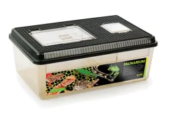 EXO TERRA - Terrarium polyvalent en plastique - faunarium plat large pour reptiles (lézards, serpents), amphibiens et invertébrés