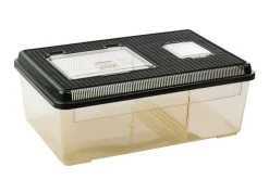 EXO TERRA - Terrarium polyvalent en plastique - faunarium plat large pour reptiles (lézards, serpents), amphibiens et invertébrés